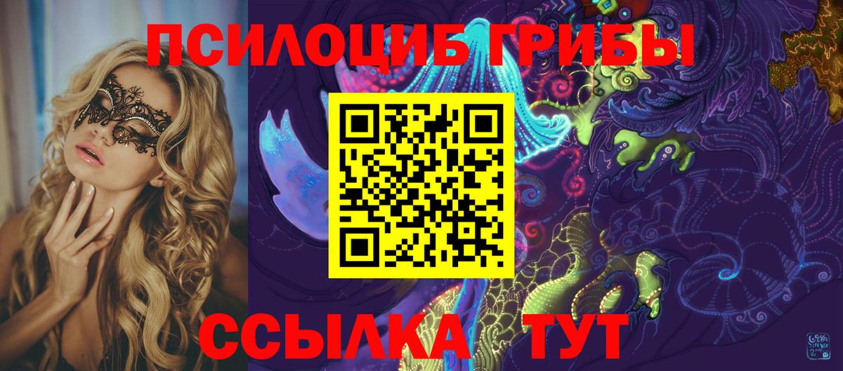 Псилоцибиновые грибы MAGIC MUSHROOMS Горно-Алтайск